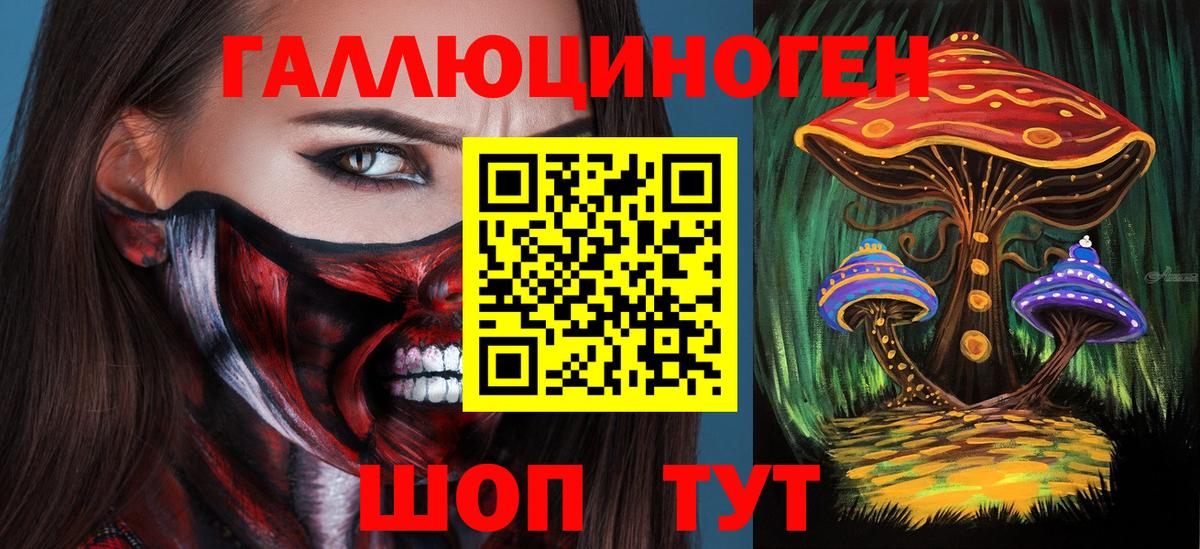 Галлюциногенные грибы Cubensis Иваново