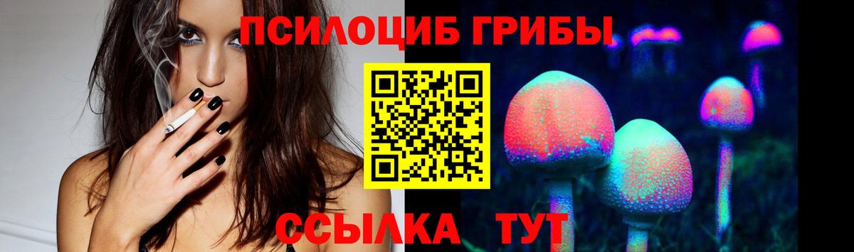 Псилоцибиновые грибы Cubensis  Вход с VPN  Иваново 
